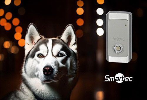 Новые контроллеры Touch Memory ST-SC244ET для однодверной СКУД